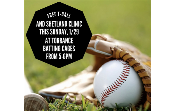 FREE TBall and Shetland Clinic TBC 